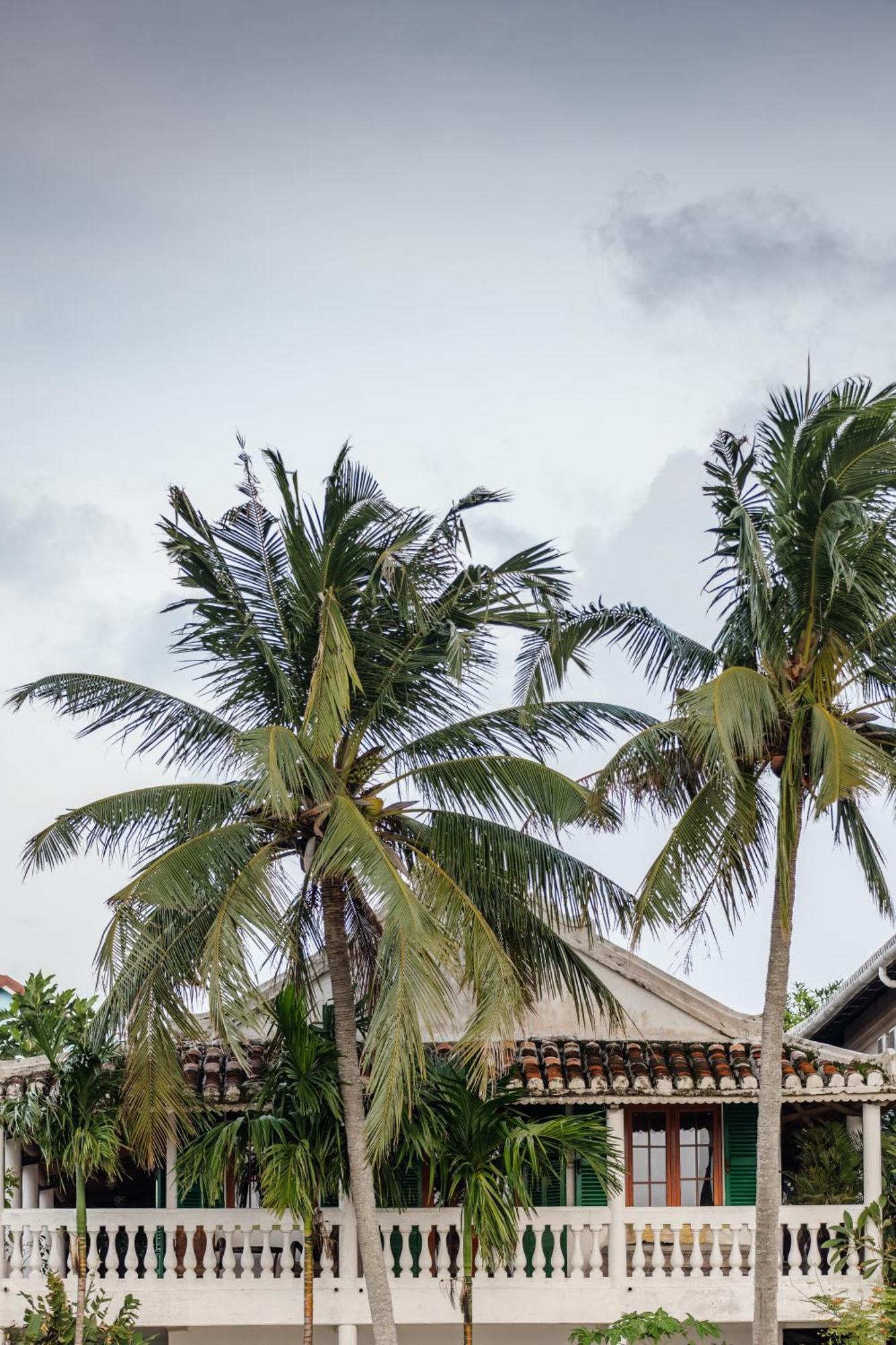 Heron House Hoi An Luaran gambar