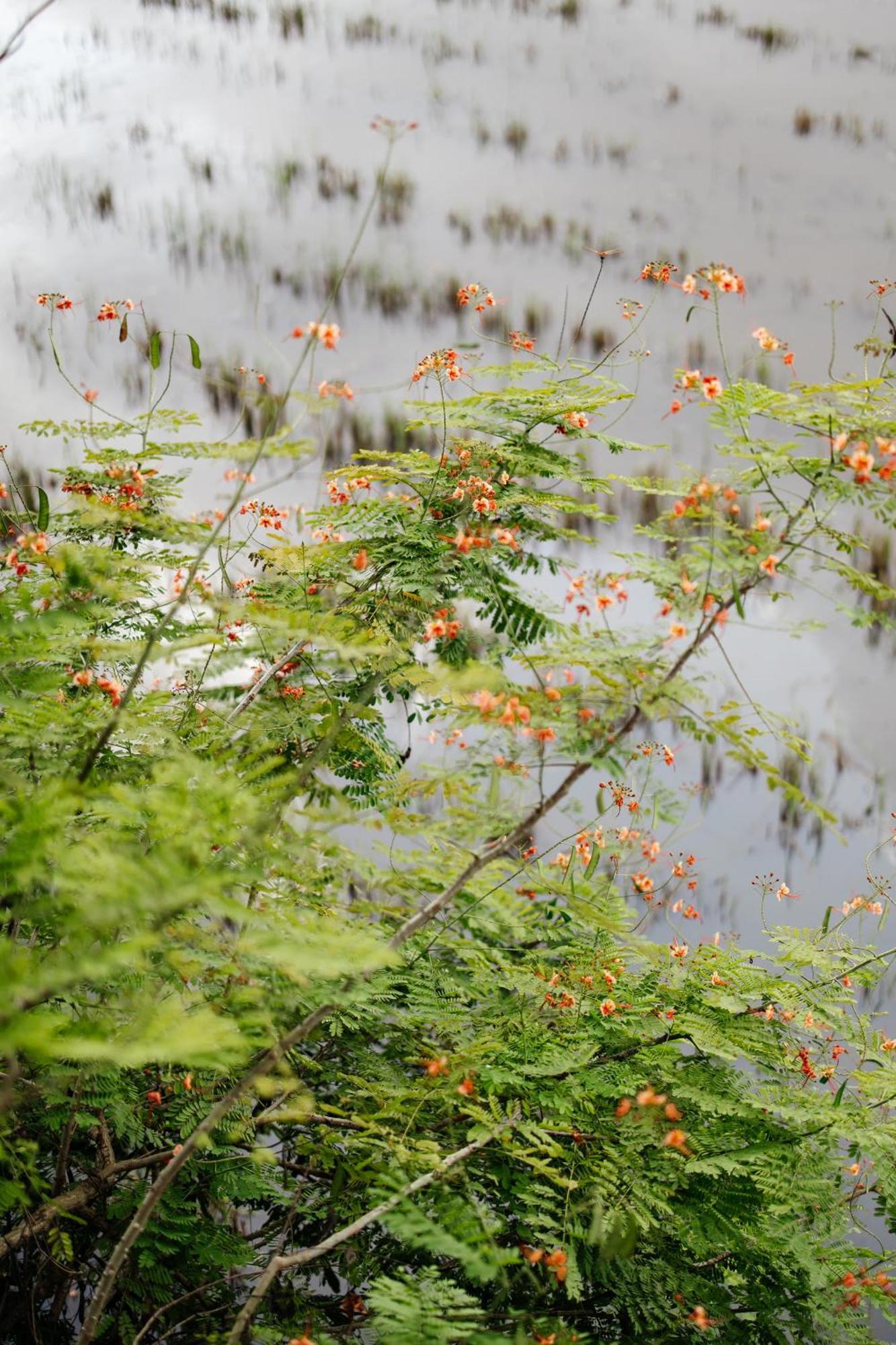 Heron House Hoi An Luaran gambar